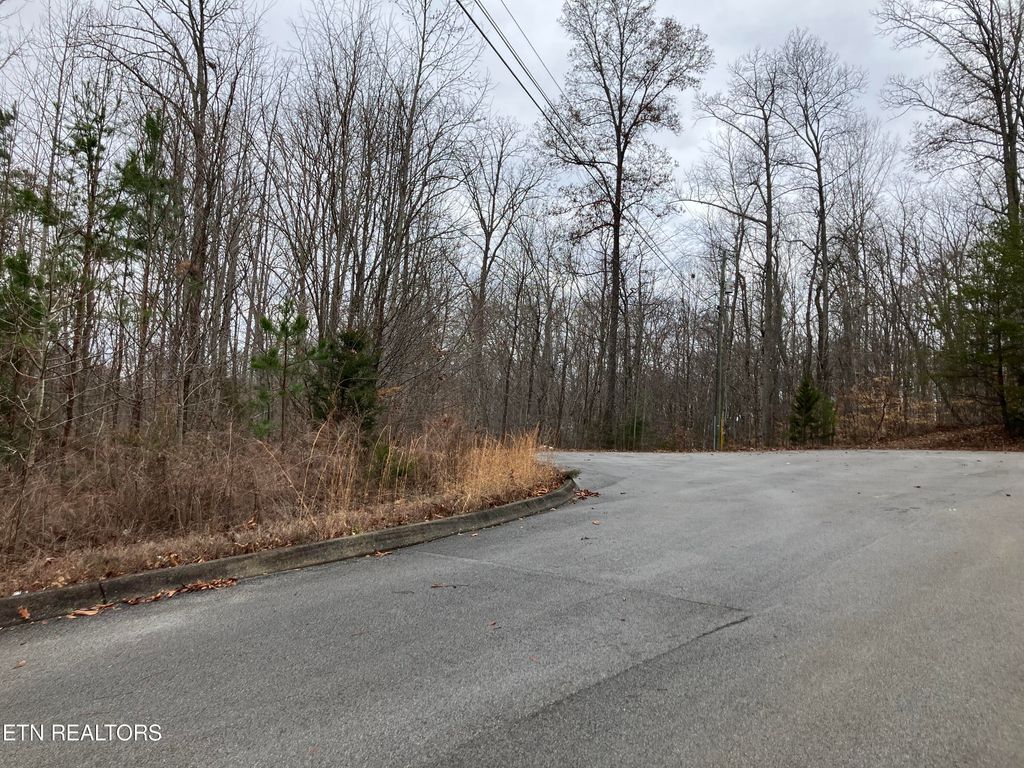 Photo of 36 Signet Lane, Maynardville, TN 37807 (MLS # 1251263)