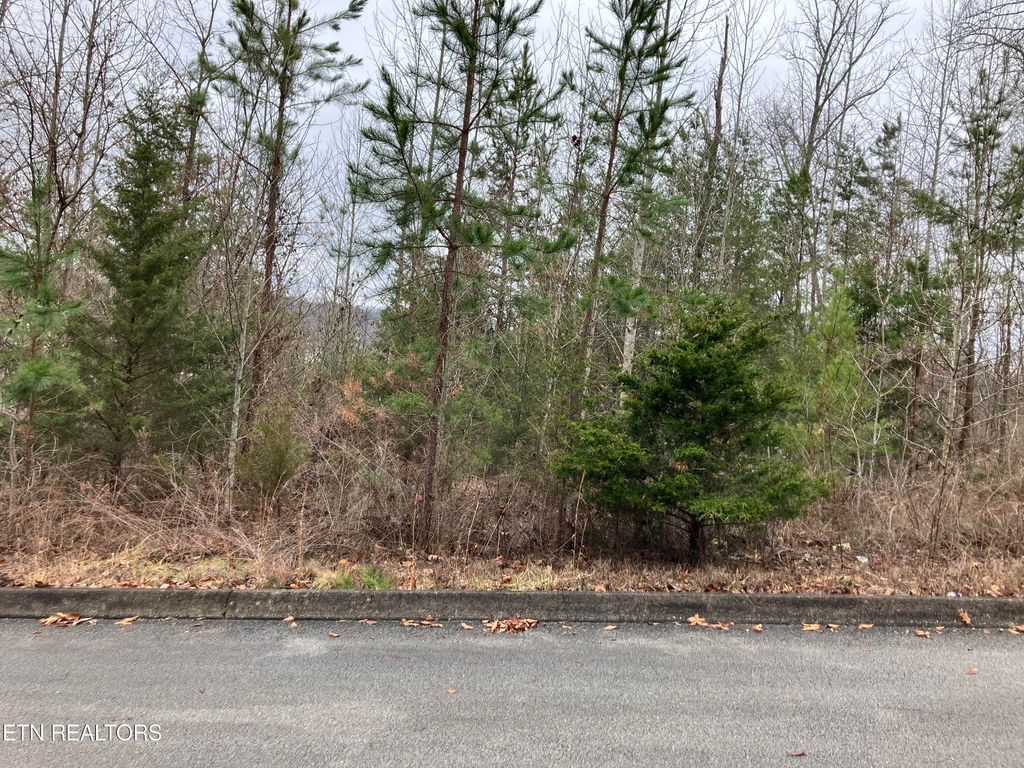 Photo of 36 Signet Lane, Maynardville, TN 37807 (MLS # 1251263)