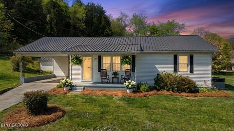 Tiny photo for 1585 Hill Road Rd, Newport, TN 37821 (MLS # 1325268)