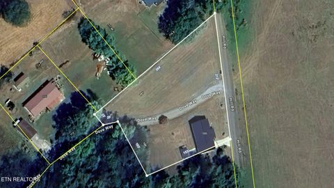 Tiny photo for 1585 Hill Road Rd, Newport, TN 37821 (MLS # 1325268)