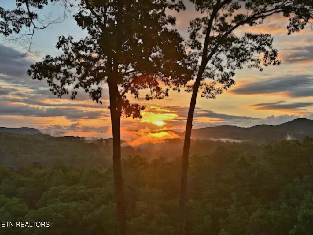 Photo of 100 Warriors Passage Drive, Tellico Plains, TN 37385 (MLS # 1350990)