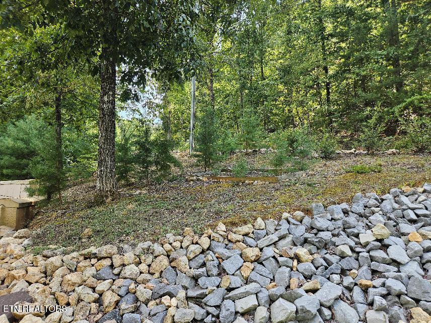 Photo of 100 Warriors Passage Drive, Tellico Plains, TN 37385 (MLS # 1350990)