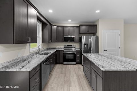 Tiny photo for 154 Peace Rd, Newport, TN 37821 (MLS # 1317028)