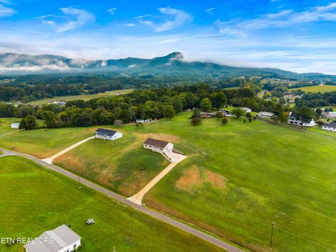 Tiny photo for 154 Peace Rd, Newport, TN 37821 (MLS # 1317028)