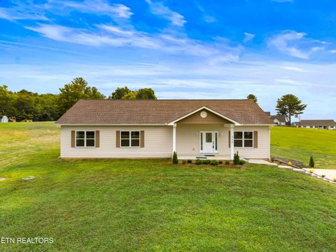 Tiny photo for 154 Peace Rd, Newport, TN 37821 (MLS # 1317028)