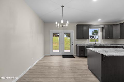 Tiny photo for 154 Peace Rd, Newport, TN 37821 (MLS # 1317028)