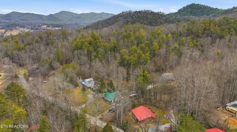 Tiny photo for 355 Boat Gunnel Rd, Townsend, TN 37882 (MLS # 1328136)