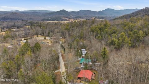 Tiny photo for 355 Boat Gunnel Rd, Townsend, TN 37882 (MLS # 1328136)