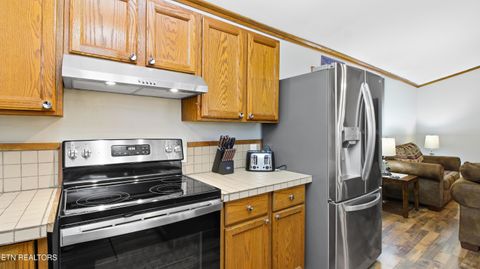 Tiny photo for 355 Boat Gunnel Rd, Townsend, TN 37882 (MLS # 1328136)