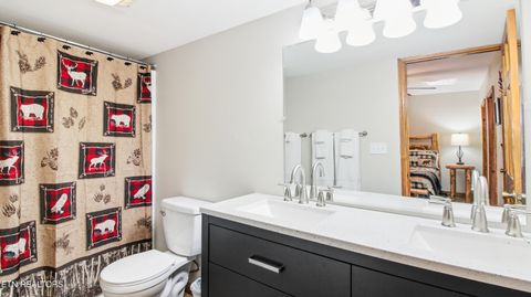 Tiny photo for 355 Boat Gunnel Rd, Townsend, TN 37882 (MLS # 1328136)