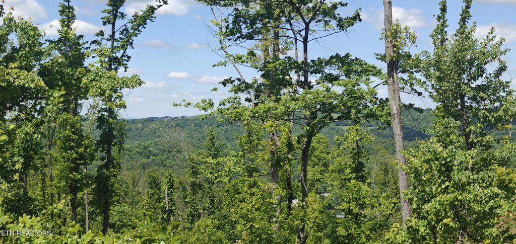 Photo of Lake Lane #Lot 7, New Tazewell, TN 37825 (MLS # 1340428)