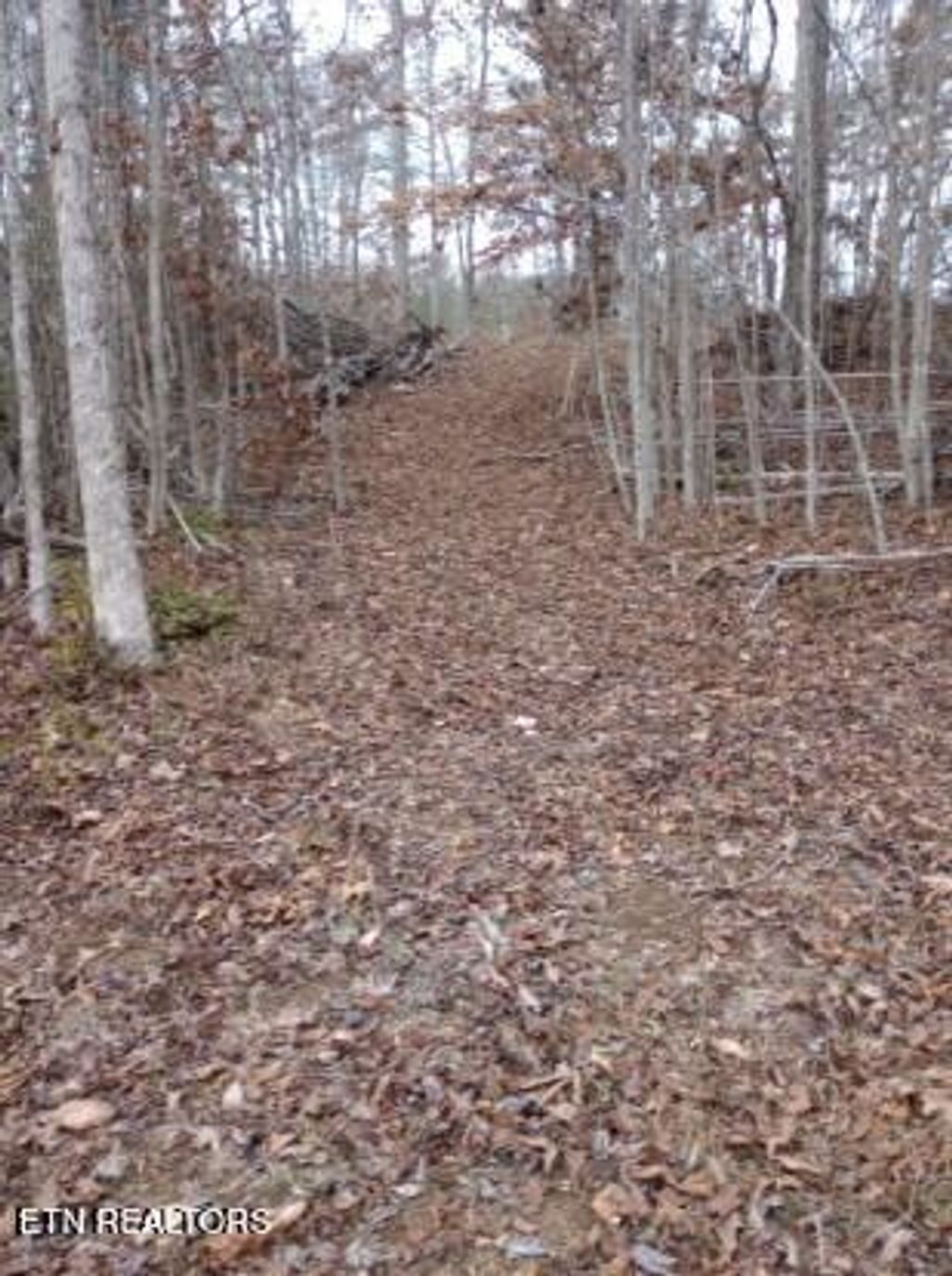 Photo of 252 Haven Way, Lenoir City, TN 37771 (MLS # 1329511)