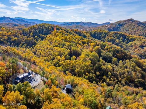 Tiny photo for 3316 Sugar Maple Loop Rd, Sevierville, TN 37862 (MLS # 1337296)