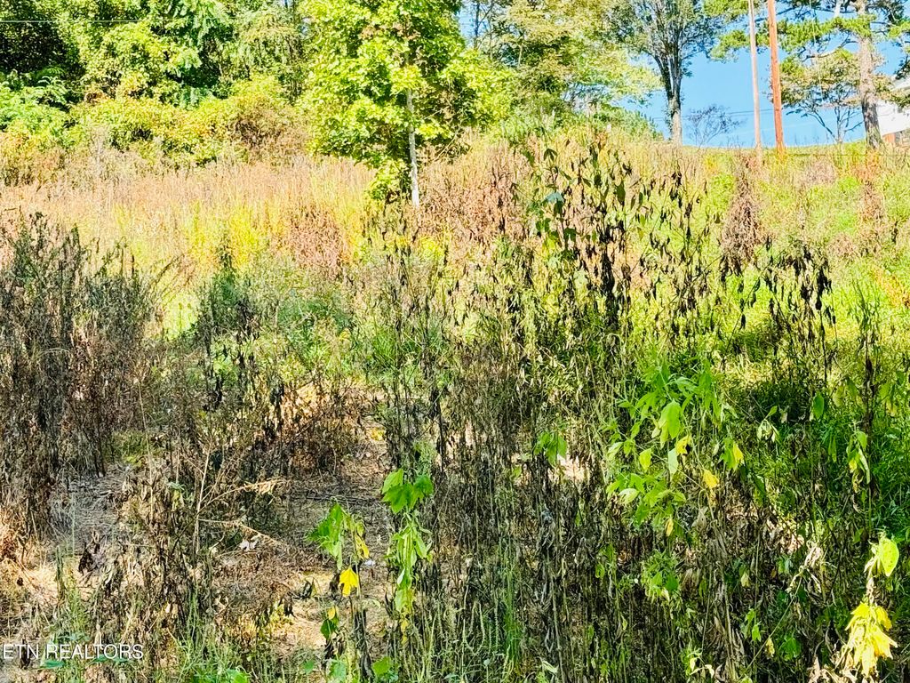 Photo of CHEROKEE Circle, Tazewell, TN 37879 (MLS # 1274365)