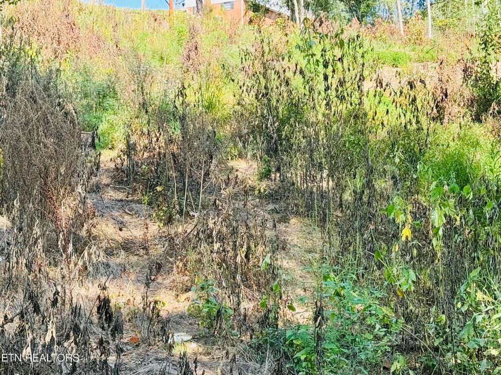 Photo of CHEROKEE Circle, Tazewell, TN 37879 (MLS # 1274365)