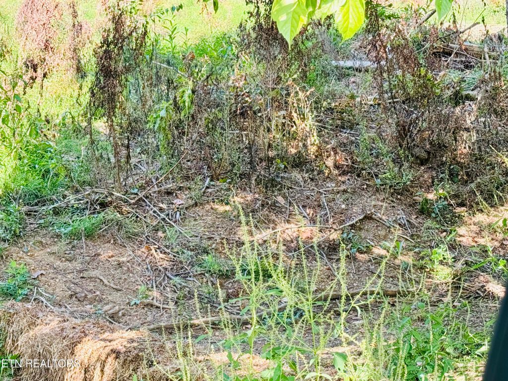 Photo of CHEROKEE Circle, Tazewell, TN 37879 (MLS # 1274365)