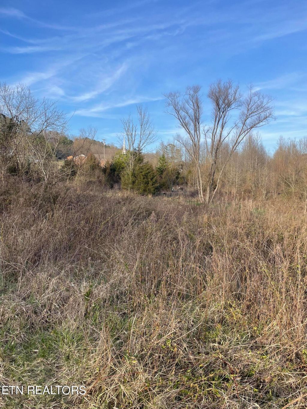 Photo of Hinds Creek Rd, Maynardville, TN 37807 (MLS # 1255574)