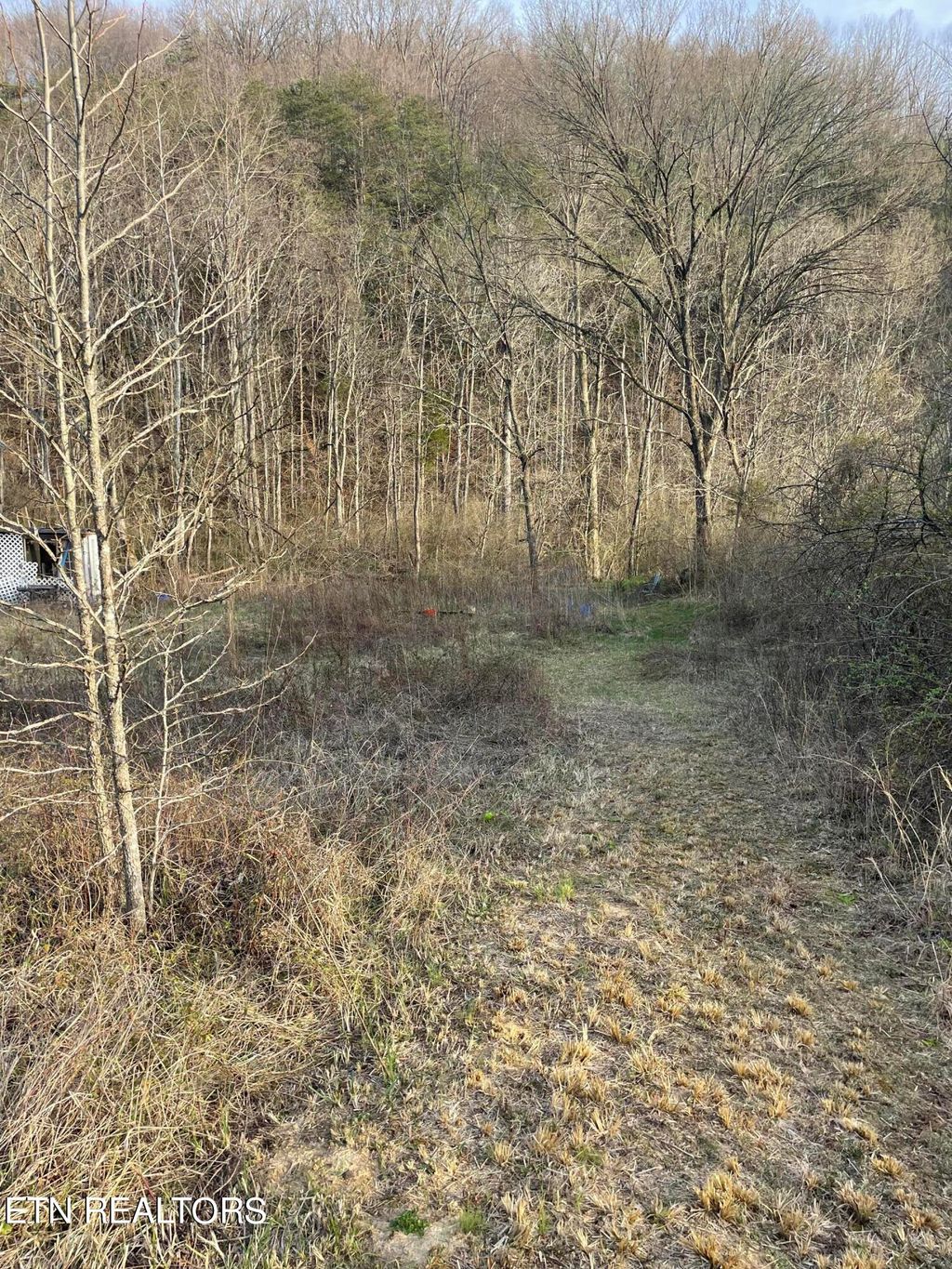 Photo of Hinds Creek Rd, Maynardville, TN 37807 (MLS # 1255574)