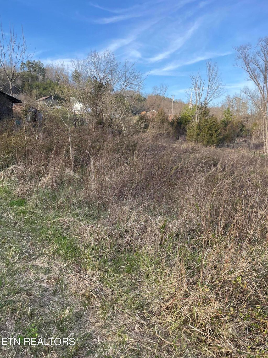 Photo of Hinds Creek Rd, Maynardville, TN 37807 (MLS # 1255574)