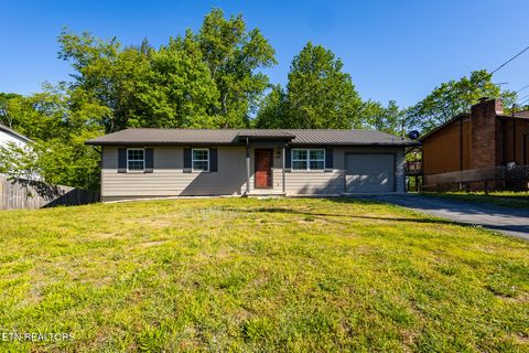 Photo of 613 Red Bud Lane, Oliver Springs, TN 37840 (MLS # 1337925)