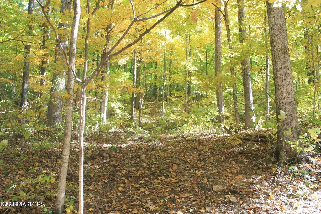 Photo of Cheyenne Drive, Jamestown, TN 38556 (MLS # 1328138)