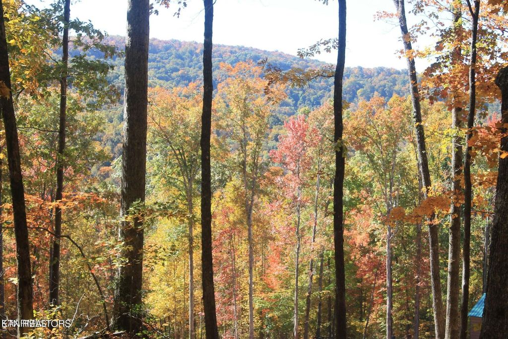 Photo of Cheyenne Drive, Jamestown, TN 38556 (MLS # 1328138)