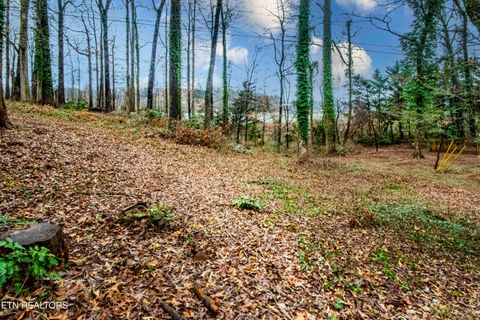 Tiny photo for 5513 Pinellas Drive, Knoxville, TN 37919 (MLS # 1328352)