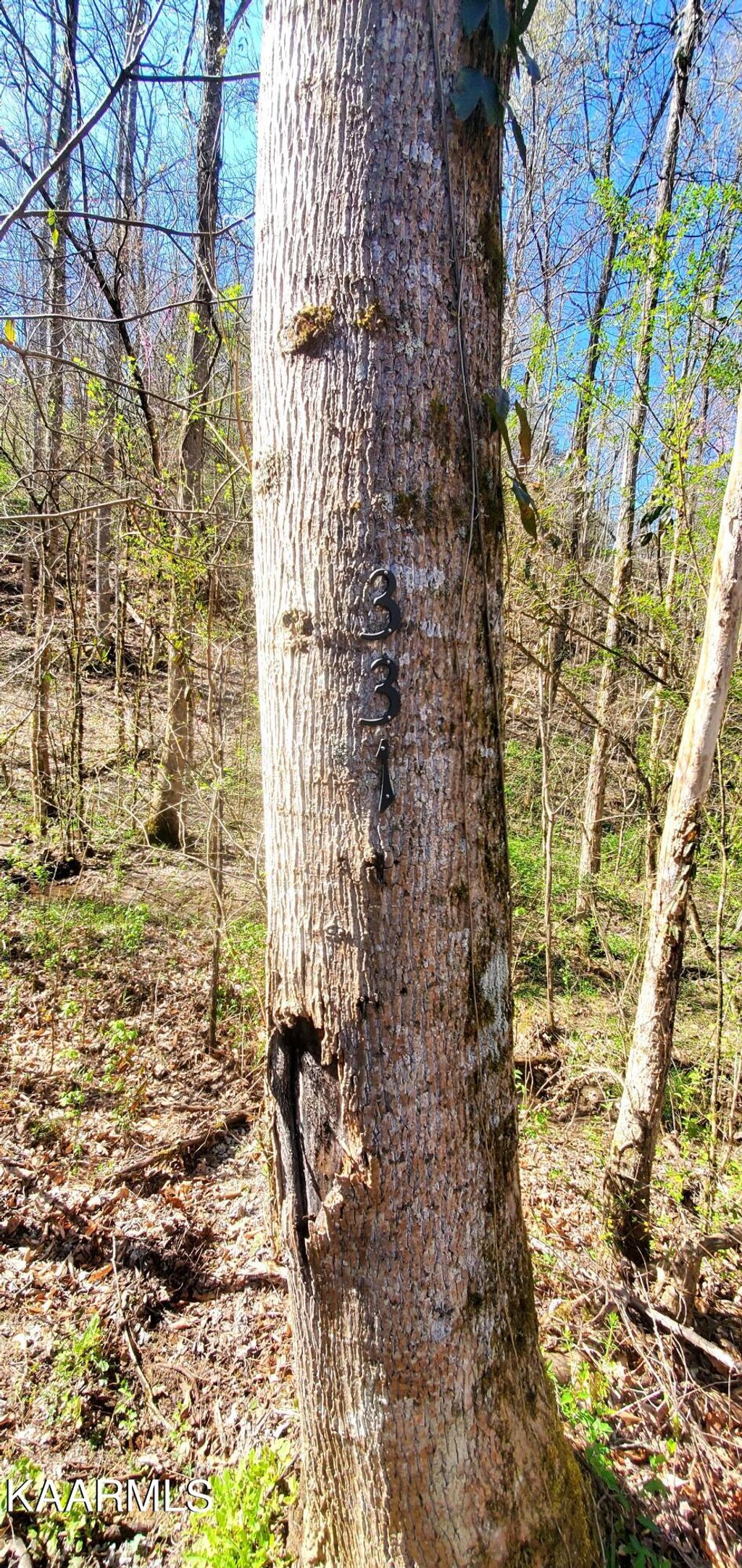 Photo of 331 Chestnut Ridge Rd, Walland, TN 37886 (MLS # 1223225)