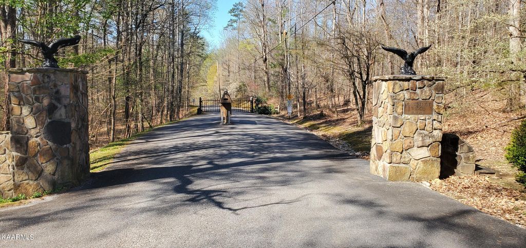 Photo of 331 Chestnut Ridge Rd, Walland, TN 37886 (MLS # 1223225)