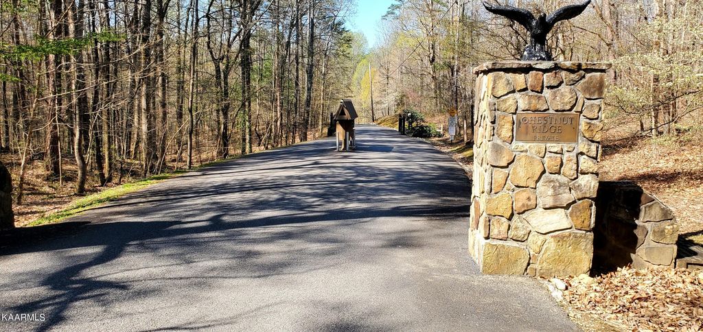 Photo of 331 Chestnut Ridge Rd, Walland, TN 37886 (MLS # 1223225)