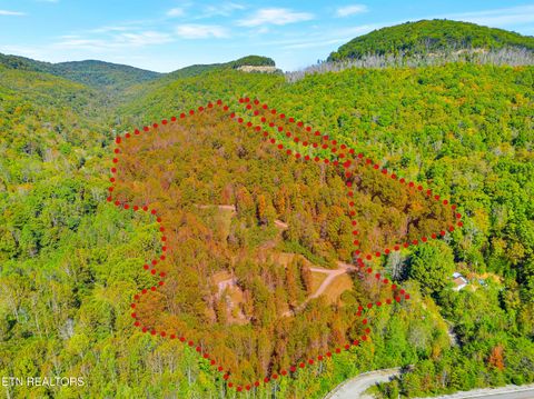 Photo of 63 Baker Lane, Pioneer, TN 37847 (MLS # 1318975)