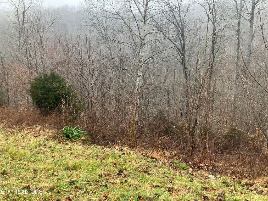 Photo of Lot 24 Emerald Cove Way, Maynardville, TN 37807 (MLS # 1254578)