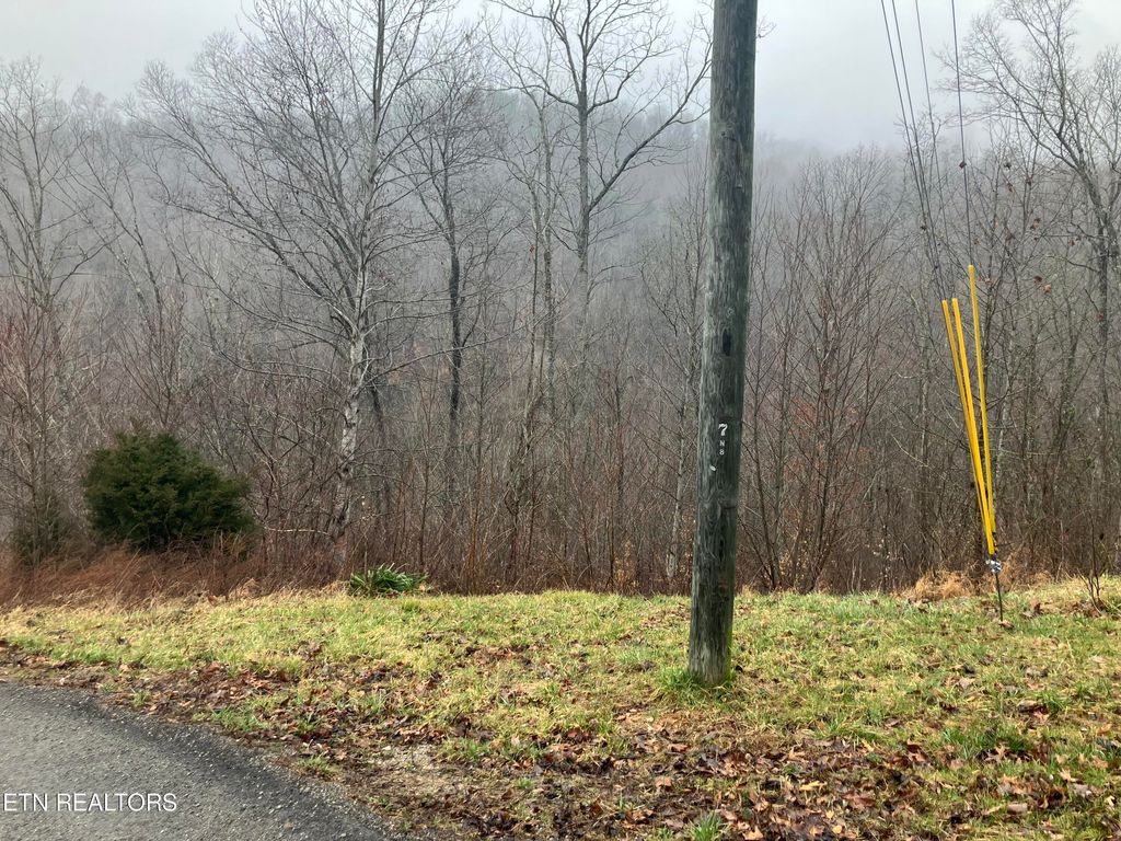 Photo of Lot 24 Emerald Cove Way, Maynardville, TN 37807 (MLS # 1254578)