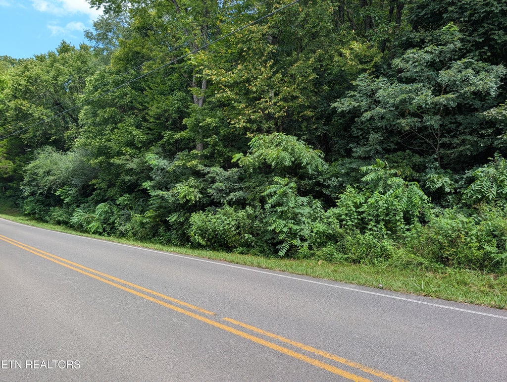 Photo of 875 N Morelock Rd, Morristown, TN 37814 (MLS # 1352259)