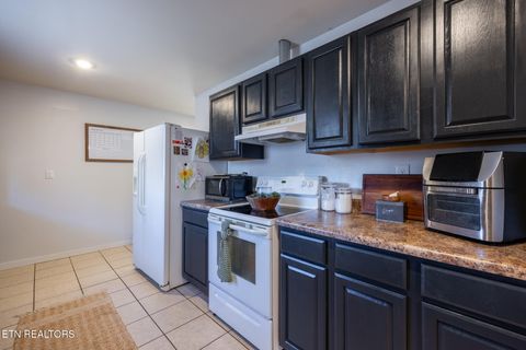 Tiny photo for 196 Akins Rd Rd, Tellico Plains, TN 37385 (MLS # 1326775)