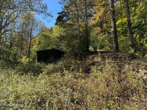 Photo of 936 Stinking Creek Rd, LaFollette, TN 37766 (MLS # 1318989)
