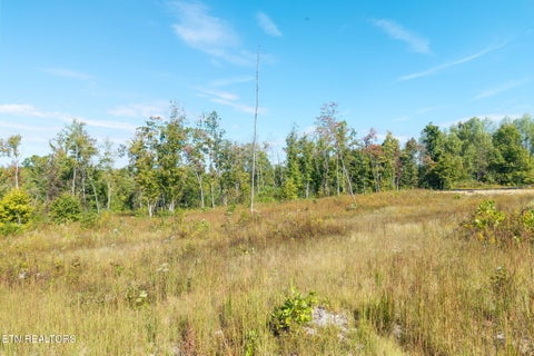Photo of Flat Rock Rd, Jamestown, TN 38556 (MLS # 1358401)