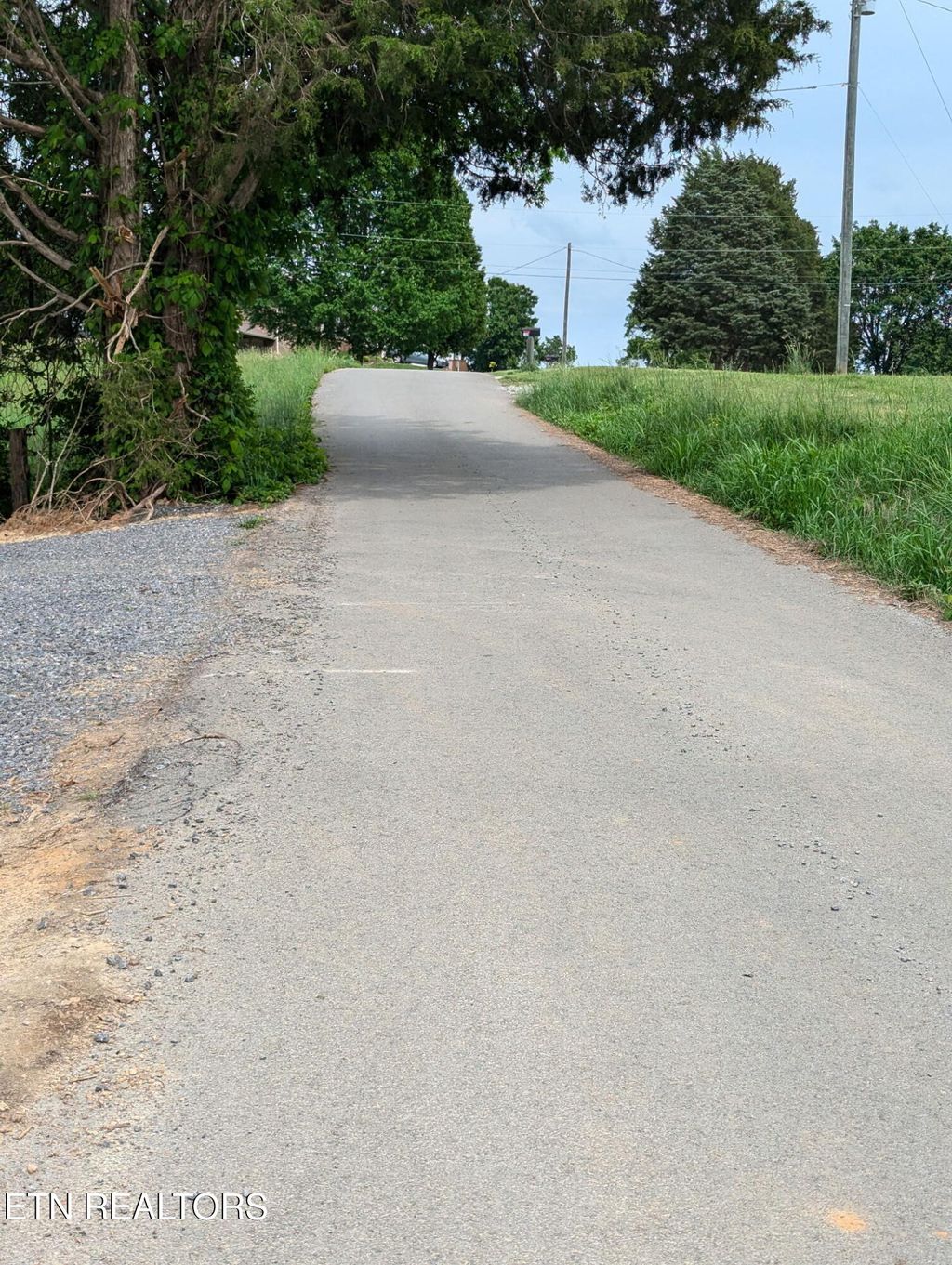 Photo of Graham Road, Blaine, TN 37709 (MLS # 1299460)