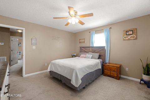 Tiny photo for 556 Highway 139, Dandridge, TN 37725 (MLS # 1331050)