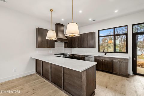 Tiny photo for 841 Vera Valley Way, Knoxville, TN 37919 (MLS # 1334629)