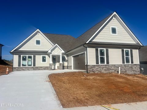 246 Bittersweet Lane Lenoir City TN 37771