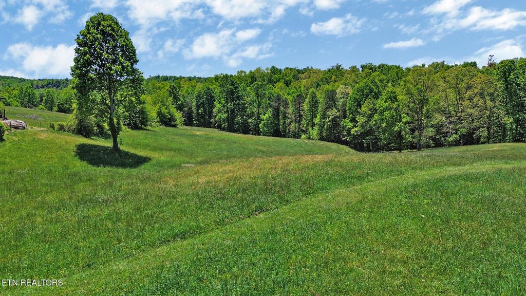 Photo of Panther Branch Rd, Jamestown, TN 38556 (MLS # 1339805)
