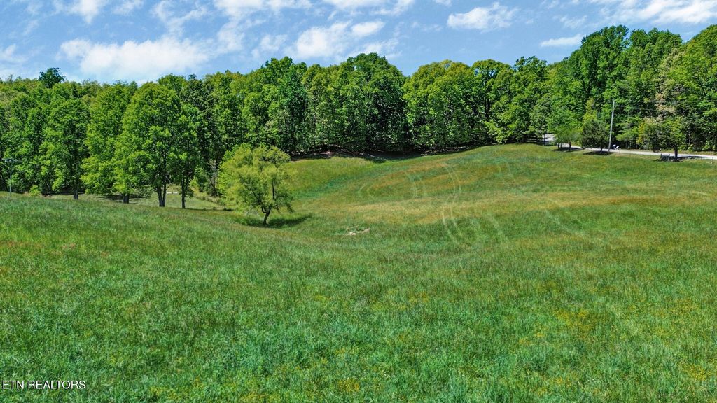 Photo of Panther Branch Rd, Jamestown, TN 38556 (MLS # 1339805)