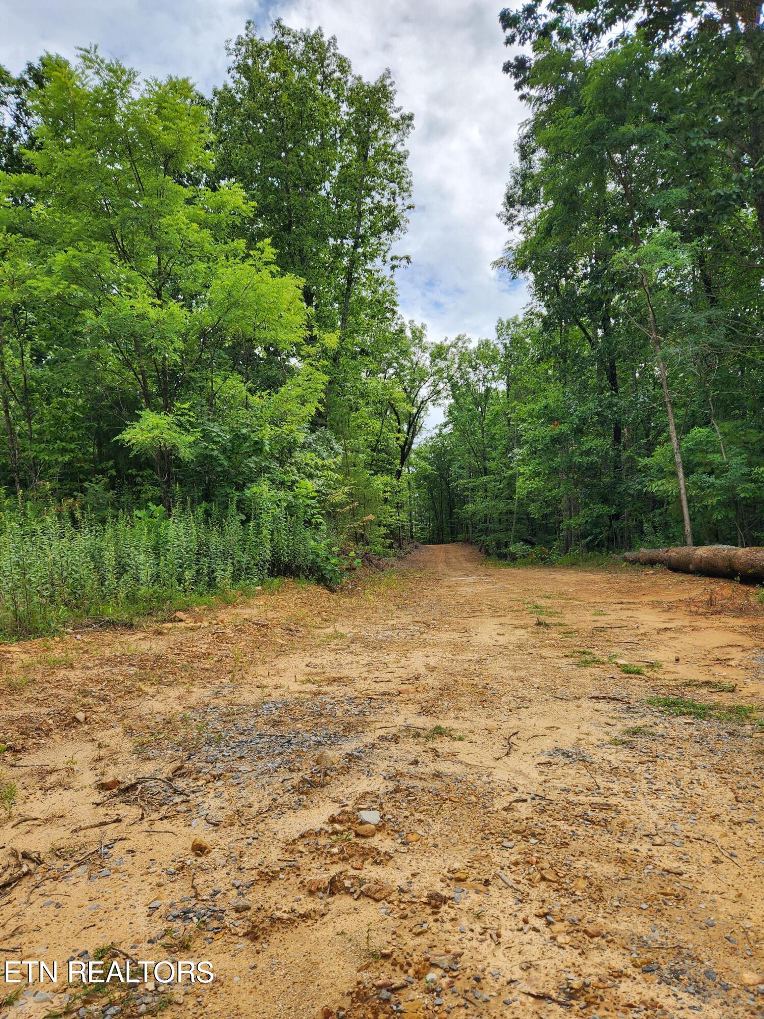 Lot 10 Coker Creek Trail