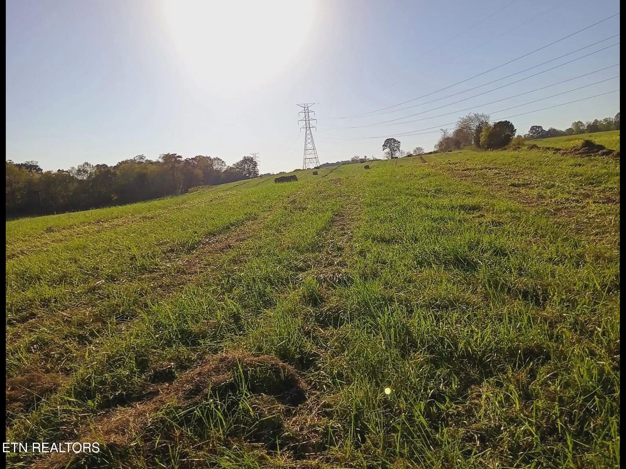 436 Thorngrove Pike