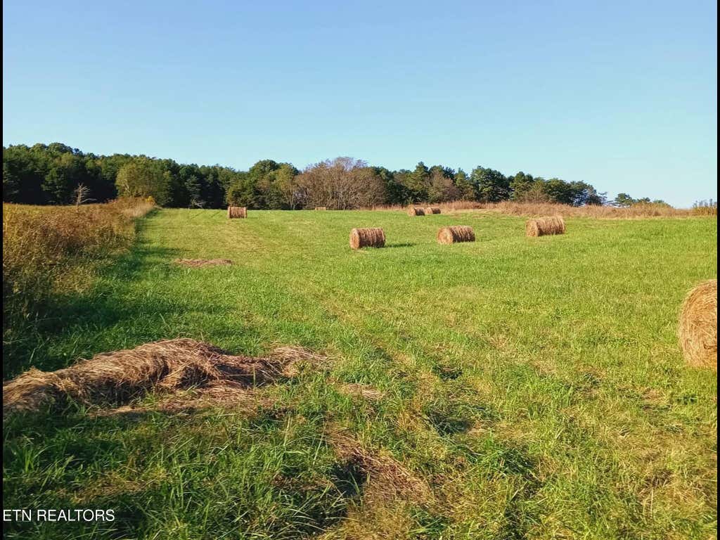 Photo of 436 Thorngrove Pike, Kodak, TN 37764 (MLS # 1348769)
