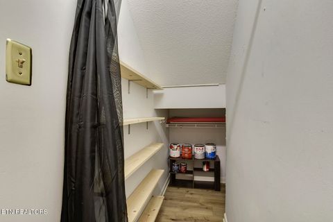 Tiny photo for 2138 Belle Terra Rd, Knoxville, TN 37923 (MLS # 1348418)