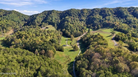 Tiny photo for 2361 Tennessee 131 Hwy, Thorn Hill, TN 37881 (MLS # 1360304)