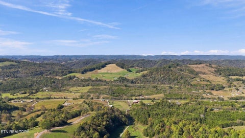 Tiny photo for 2361 Tennessee 131 Hwy, Thorn Hill, TN 37881 (MLS # 1360304)