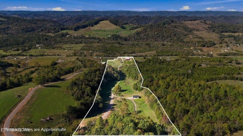 Tiny photo for 2361 Tennessee 131 Hwy, Thorn Hill, TN 37881 (MLS # 1360304)